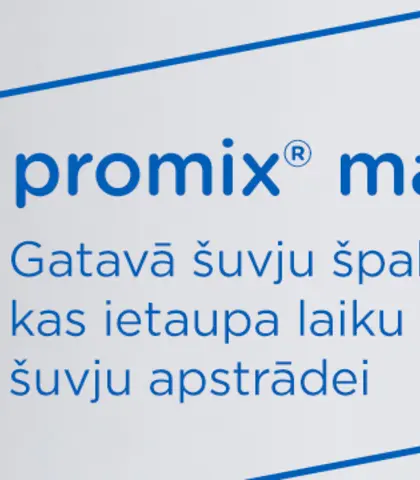 Šuvju špaktele Rigips Promix Max